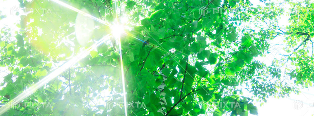 Sustainable Investment